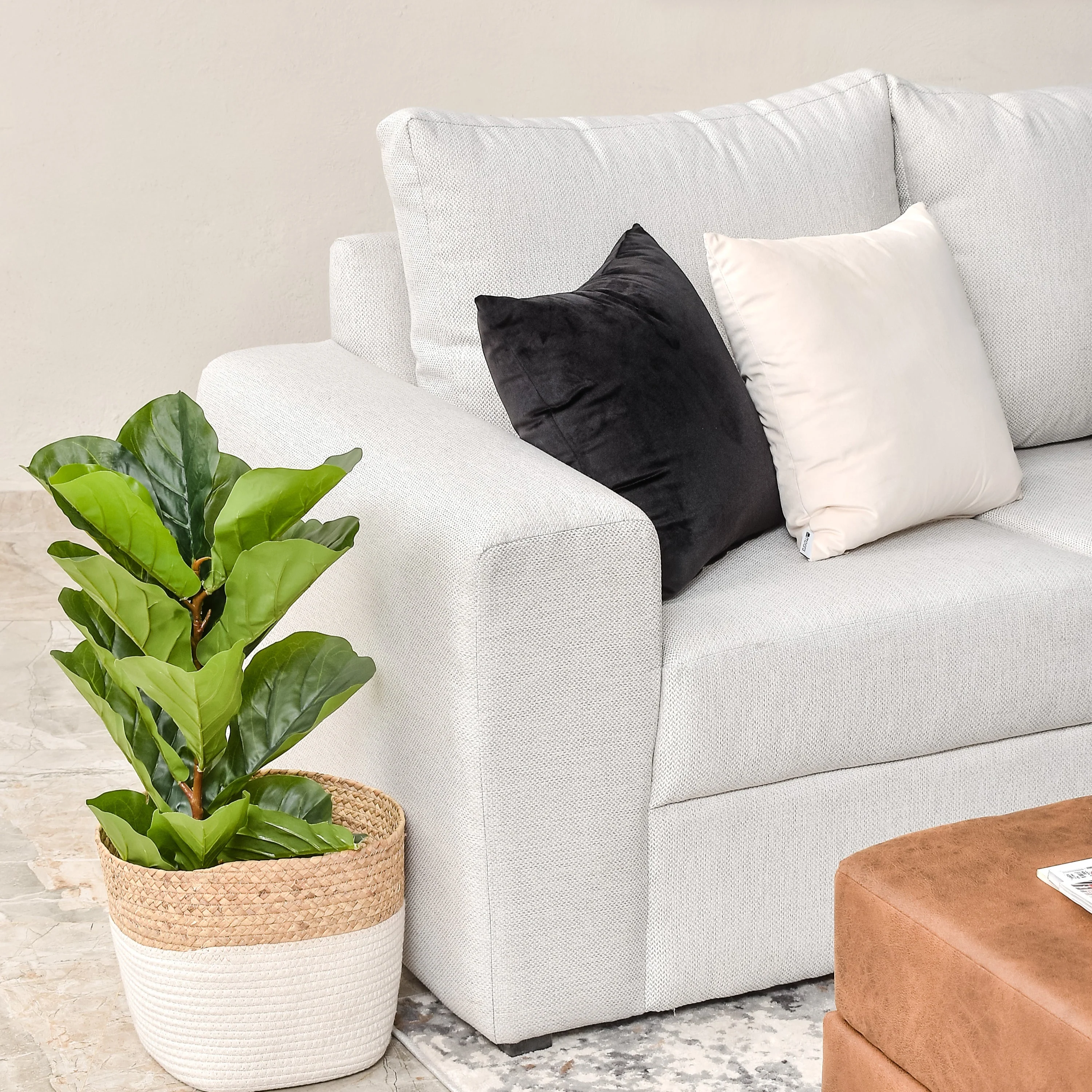 Imagen del producto 7